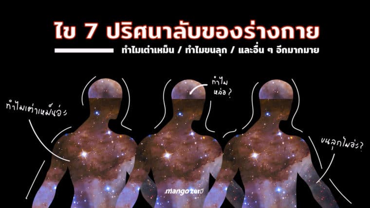 ไข 7 ปริศนาลับของร่างกาย ทำไมเต่าเหม็น ทำไมขนลุก และอื่นๆ อีกมากมาย