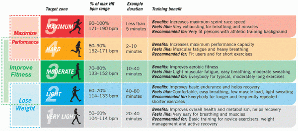  Heart Rate Zone