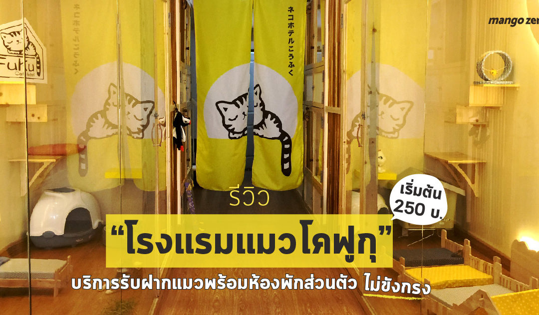 รีวิว “โรงแรมแมวโคฟูกุ” บริการรับฝากแมวพร้อมห้องพักส่วนตัว ไม่ขังกรง เริ่มต้น 250 บ.