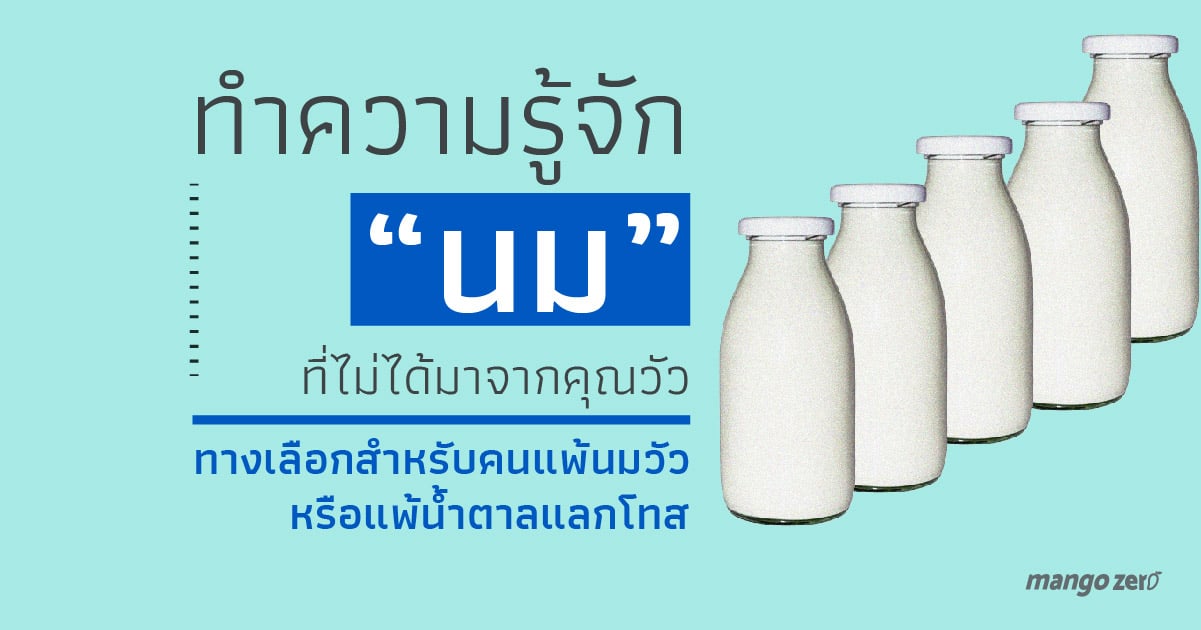 type-of-milk-that-not-from-cow-14