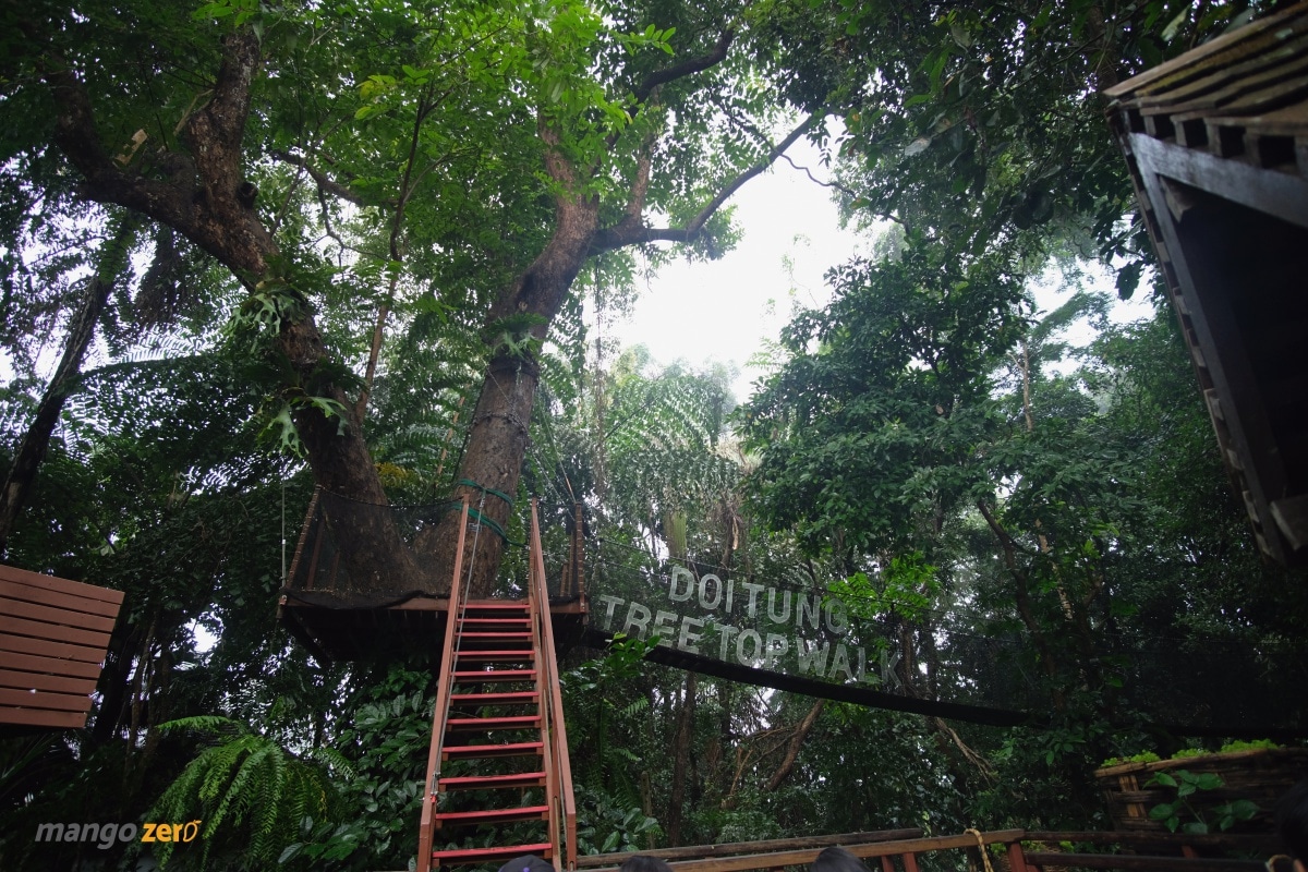 doitung-tree-top-walk-at-chiang-rai-8