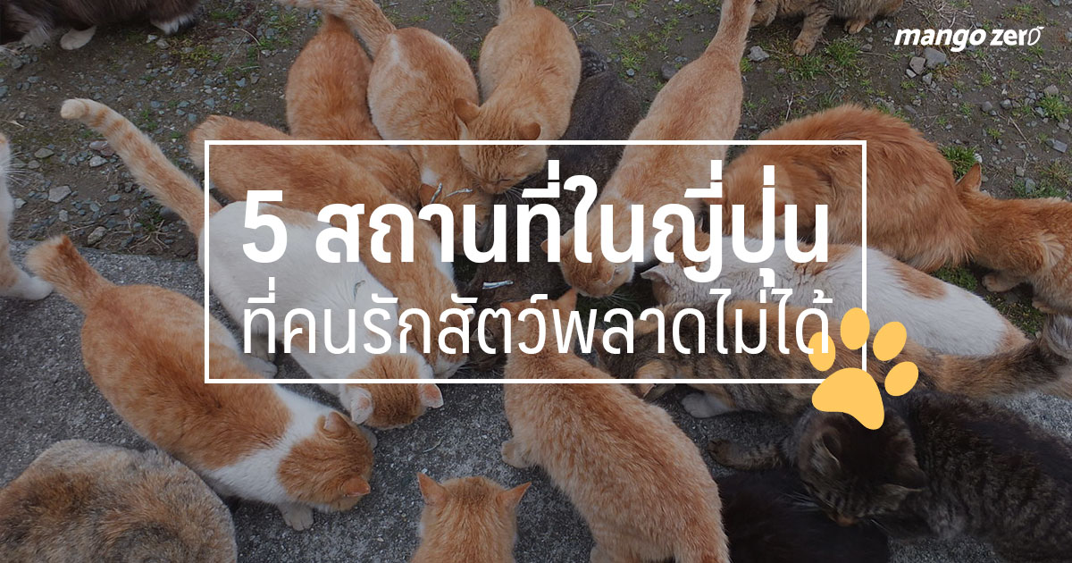 5 สถานที่ในญี่ปุ่นที่คนรักสัตว์พลาดไม่ได้