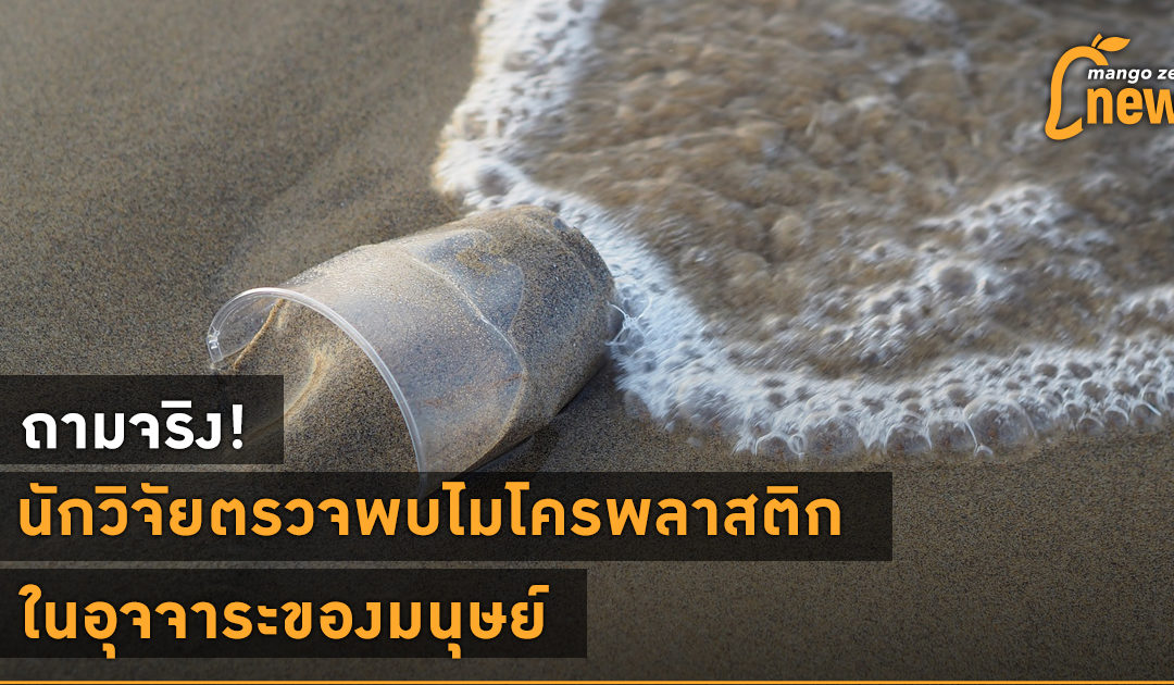 ถามจริง! นักวิจัยตรวจพบไมโครพลาสติกในอุจจาระของมนุษย์