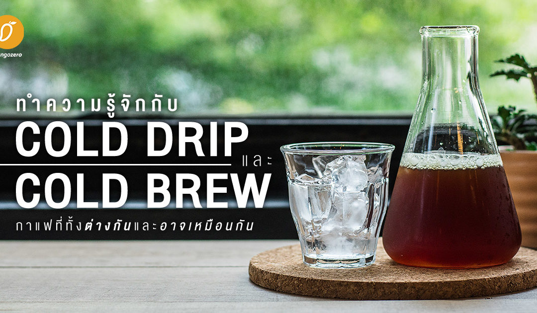 ทำความรู้จักกับ Cold Drip และ Cold Brew กาแฟที่ทั้งต่างกันและอาจเหมือนกัน