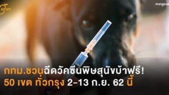 กทม.จัดบริการวัคซีนพิษสุนัขบ้าฟรี! 50 เขต ทั่วกรุง 2-13 ก.ย. 62 นี้