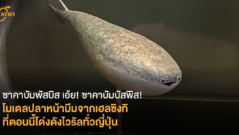 [News] ซาคาบัมพัสบิส เอ้ย! ซาคาบัมบัสพิส! โมเดลปลาหน้ามีมจากเฮลซิงกิ ที่ตอนนี้โด่งดังไวรัลทั่วญี่ปุ่น