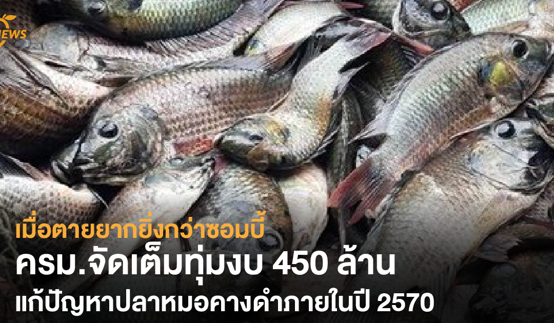 เมื่อตายยากยิ่งกว่าซอมบี้ ครม.จัดเต็ม ทุ่มงบ 450 ล้าน แก้ปัญหาปลาหมอคางดำ ภายในปี 2570