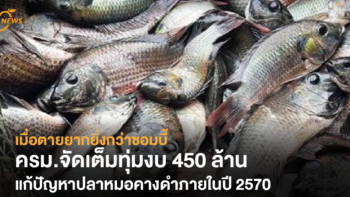 เมื่อตายยากยิ่งกว่าซอมบี้ ครม.จัดเต็ม ทุ่มงบ 450 ล้าน แก้ปัญหาปลาหมอคางดำ ภายในปี 2570