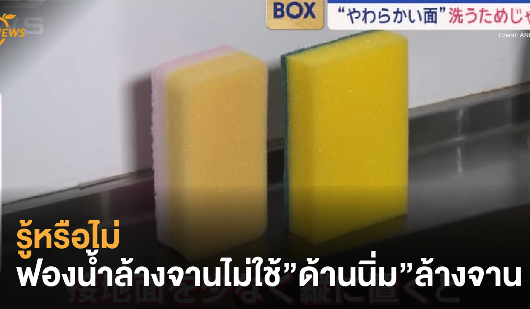 รู้หรือไม่ ฟองน้ำล้างจานไม่ใช้”ด้านนิ่ม”ล้างนะ ? 