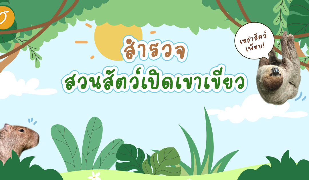 สำรวจดาราแห่ง “สวนสัตว์เปิดเขาเขียว” มีสัตว์อะไรบ้าง?