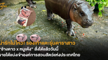 น่ารักไม่ไหว! รองเท้าแตะรุ่นดาราสาว  “ช้างดาว x หมูเด้ง” สั่งได้แล้ววันนี้  รายได้แบ่งเข้าองค์การสวนสัตว์แห่งประเทศไทย