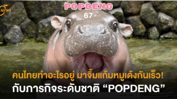 คนไทยทำอะไรอยู่ มาจิ้มแก้มหมูเด้งกันเร็ว! กับภารกิจระดับชาติ “POPDENG”