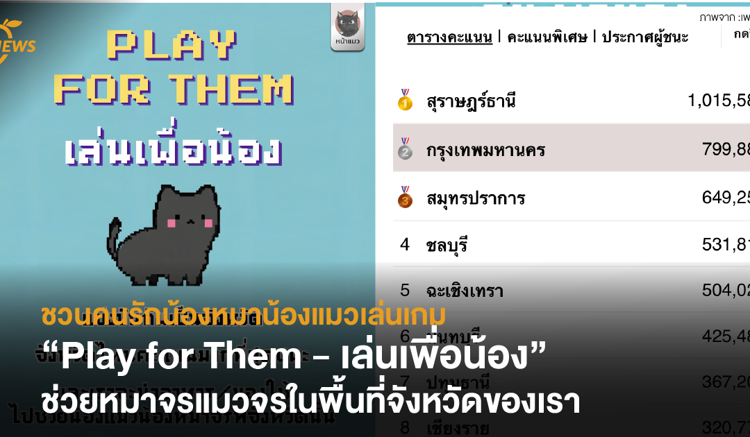 ชวนคนรักน้องหมาน้องแมวเล่นเกม “Play for Them – เล่นเพื่อน้อง” ช่วยหมาจรแมวจรในพื้นที่จังหวัดของเรา