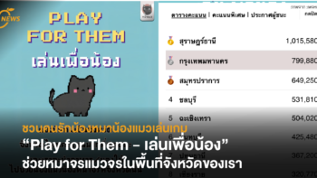 ชวนคนรักน้องหมาน้องแมวเล่นเกม “Play for Them - เล่นเพื่อน้อง” ช่วยหมาจรแมวจรในพื้นที่จังหวัดของเรา