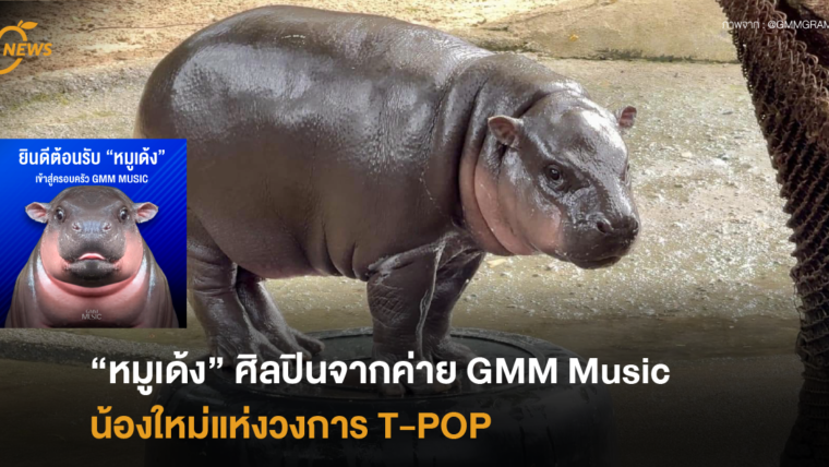 “หมูเด้ง” ศิลปินจากค่าย “GMM Music”  น้องใหม่แห่งวงการ T-POP