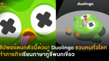 ซัปพอร์ตนกตัวนี้ด่วน! Duolingo ชวนคนทั่วโลกทำภารกิจเรียนภาษากู้ชีพนกเขียว